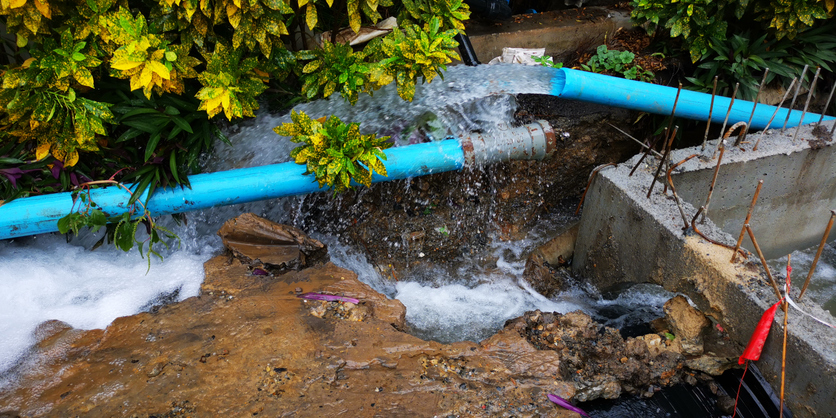 Top Warning Signs You Need Sewer Line Repair Immediately